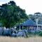 Nambiti Plains Lodge - Wildreservat Nambiti