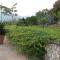 Oasi Verde