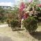 Appartement Vacances Goyave