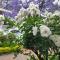 Rosebank Lodge Guesthouse by Claires