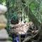 Casa Bacarirá - Floresta com Yoga e Café da Manhã Vegano - 坎布里