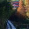 Moganshan Arcadia Resorts