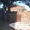 11 Coral Sands