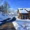 Chalet Bellevue - Ventron