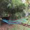 Divine Bliss Beach Resort