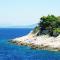Apartments by the sea Prigradica, Korcula - 14341