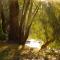 River Bend Caravan Park