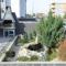 Lucky Luke Pool Apartments