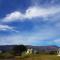 Windfall Wine Farm - Robertson