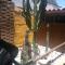 Hostal Cactus Copiapo - Copiapó