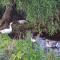 Thandamanzi Self Catering