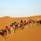 Sahara camel tours camp Sahara camel tours camp
