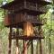 Hotel Rainforest