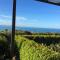 Noahs Boutique Accommodation Moeraki