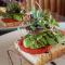 Greenfire Drakensberg Lodge