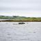 Dunvegan Camping Pods