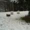 Black Bear Lodge
