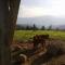 Garni Reider