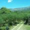 Casitas Volver a Nacer