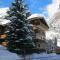 Apartment Balma 3 rooms near Gondelbahn