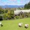 A Panoramic Country Homestay Foto: A Panoramic Country Homestay