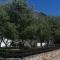 Apartments with garden