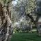 Mystras Grand Palace Resort & Spa