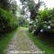 Wildlife Paradise - Monteverde