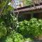 Casa Dos Arcos Bed and Breakfast
