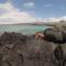 Black Beach House