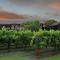 Novotel Vines Resort Swan Valley - Upper Swan