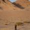 Foto: Wadi Rum Bedoin Homestay 50/50