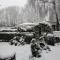Vakantiewoning (Chalet 52)