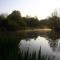LA FERME des DAIMS photo 14