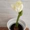 Raw Karoo Guest House - Oudtshoorn