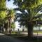 Delfin Apartments