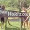 Bar Horizon Hostel - Chumphon