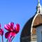 Romantic Terrace - Firenze