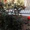 Apartment Sunce