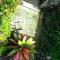 Cissus Hotel Boutique