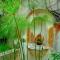 Cissus Hotel Boutique