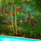 Le Windsor, Jungle Art Hotel