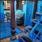 The Blue House