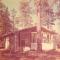 Adair Springs Cabin - Pinetop-Lakeside