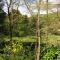 Idyllic Country Garden