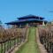 Foto: Oceanview Estate Vineyard Cottages