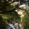 Offbeat Abodes - Tirthan Valley