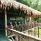 Amazon Tupana Jungle Lodge - Tupana