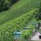 Weingut Sternat vlg. Schmalzpeter