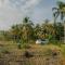 Totobe Resort